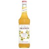 Monin Passion 1l